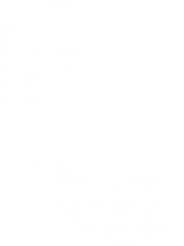 Call us logo